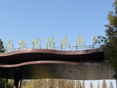 -黄海国家森林公园