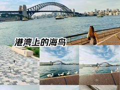 -悉尼海港大桥