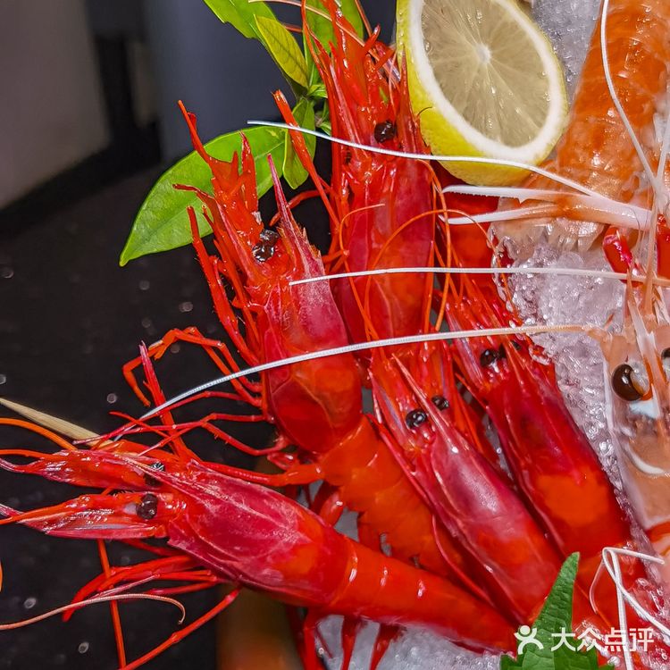 新西兰鳌虾不限量,瞬间感觉挖到宝了!