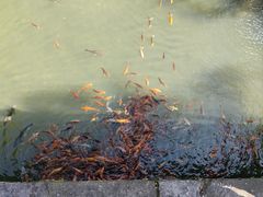 -楠溪江风景名胜区