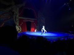 -珠海横琴长隆《卡卡虎奇遇记》