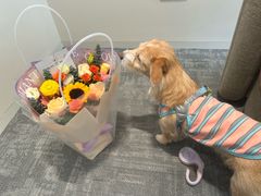 -上海伟杰·捷豹路虎4S店(闵行店)