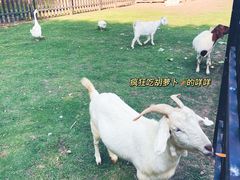 -南京枫彩漫城