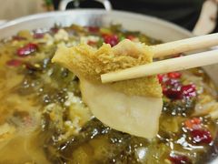 酸菜肚-小城家宴
