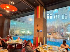 -帝企鹅自助餐厅•儿童岛•真企鹅(长隆企鹅酒店)