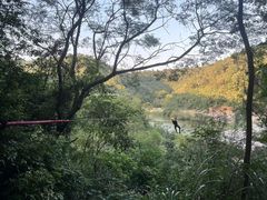 -芦仙山景区-飞越丛林探险乐园