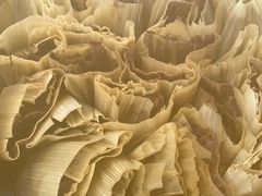 -贡嘎雪山