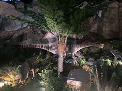 -陕西自然博物馆