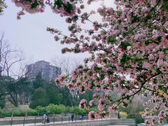 -元大都城垣遗址公园