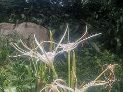 -成都市活水公园