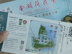 -荷花荡