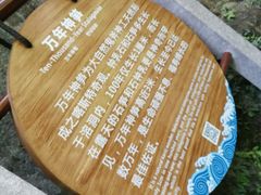 -神龙峡风景区