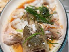 -大榕树下顺德菜(融创茂店)