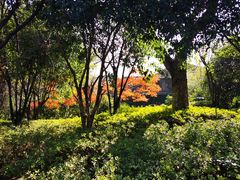 -杭州半山国家森林公园