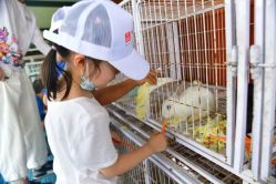 -小蜜蜂农场(凯德七宝购物广场店)