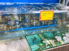 水产区-蚝专家(北滘店)