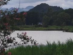 -夏屿湖畔.落日湖景餐厅(普者黑景区店)