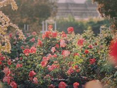 -国家植物园南园