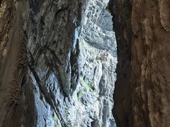 -重庆武隆天生三桥风景区-神鹰天坑