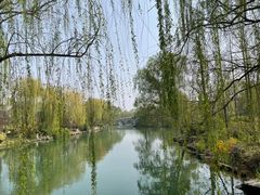 -济南大明湖景区