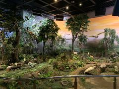 -陕西自然博物馆