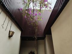 -花水湾第一村温泉大酒店