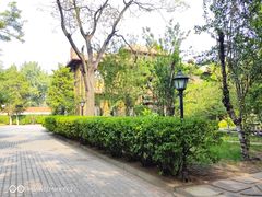 -天津五大道文化旅游区