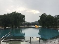 -上海佘山世茂艾美酒店