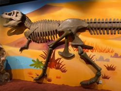 -北京科学中心儿童乐园