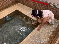 -中家鑫园温泉酒店鑫悦汤泉