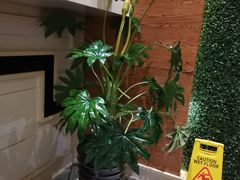 -红樱桃·新派辽菜(北行店)