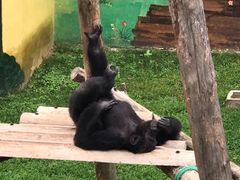 -西霞口神雕山野生动物世界