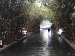 -望江楼公园