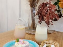 -共舞时光猫咖·狗咖(新街口店)