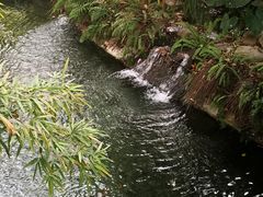 -望江楼公园