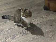 -小时光咖啡馆(开森度假森林店)