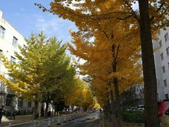 -东北大学(南湖校区)
