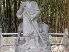 -王顺山国家森林公园
