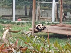 -西安秦岭野生动物园