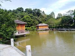 -罗浮山嘉宝田森林温泉度假酒店