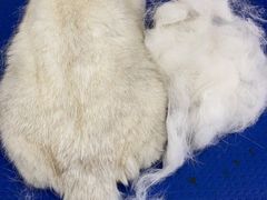 -瑞派宠物医院·24小时骨科·心脏·核磁(哈尔滨南岗店)