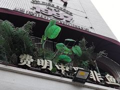 -费明中罗非鱼(大石坝店)