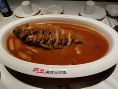 -阿五黄河大鲤鱼(纬三路店)