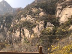 -大岭沟猕猴桃谷风景区