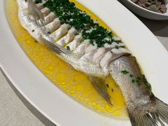 -炊江南·上海菜(国展华漕店)