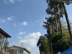 -三圣花乡旅游区