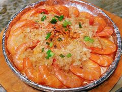 -肥猫(义乌万达店)