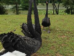 -福建鲤鱼洲酒店