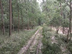 -合肥滨湖国家森林公园