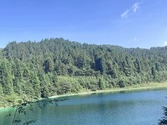 -武陵山森林公园